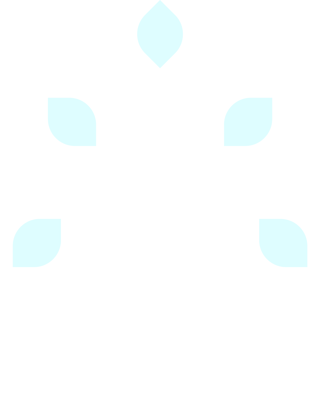 Bali Orthopaedic Excellence