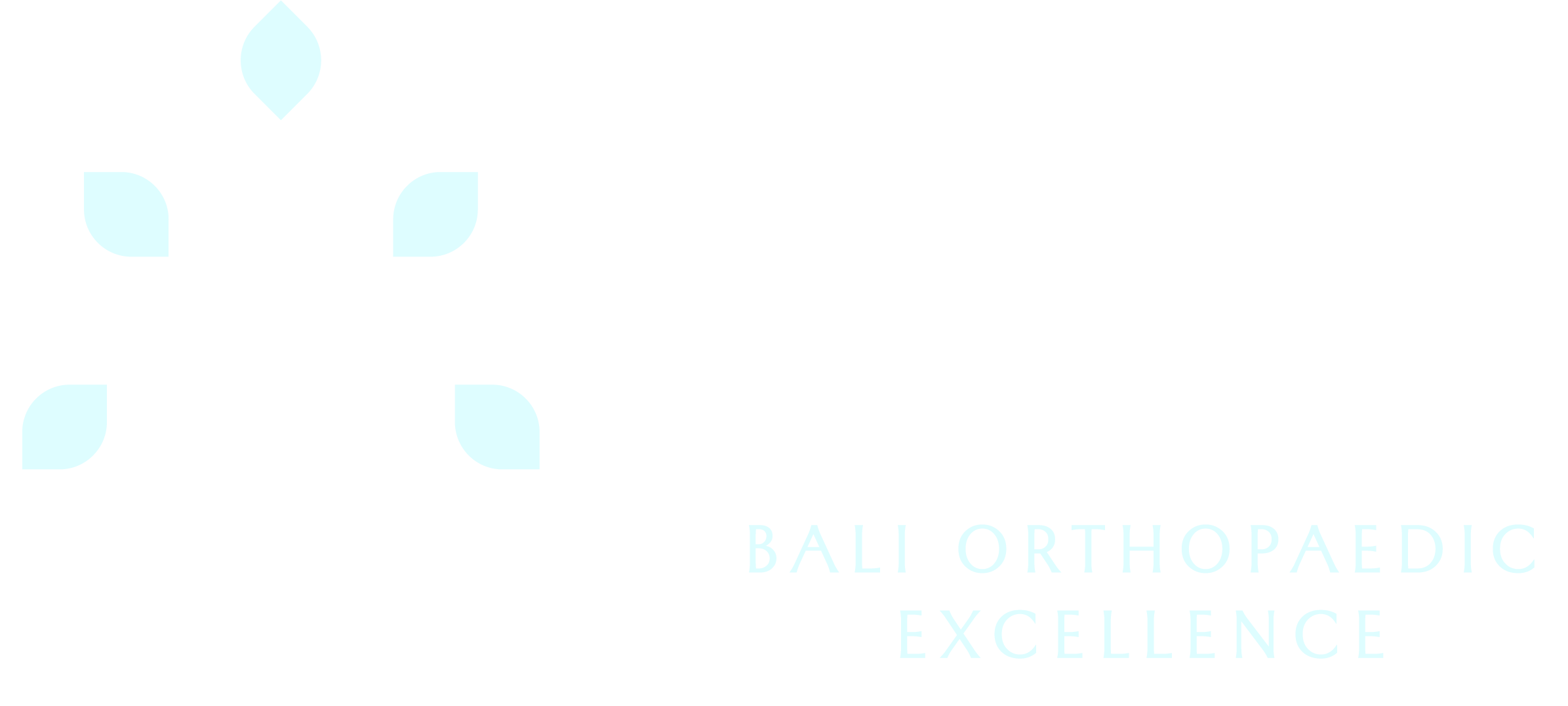 Bali Orthopaedic Excellence