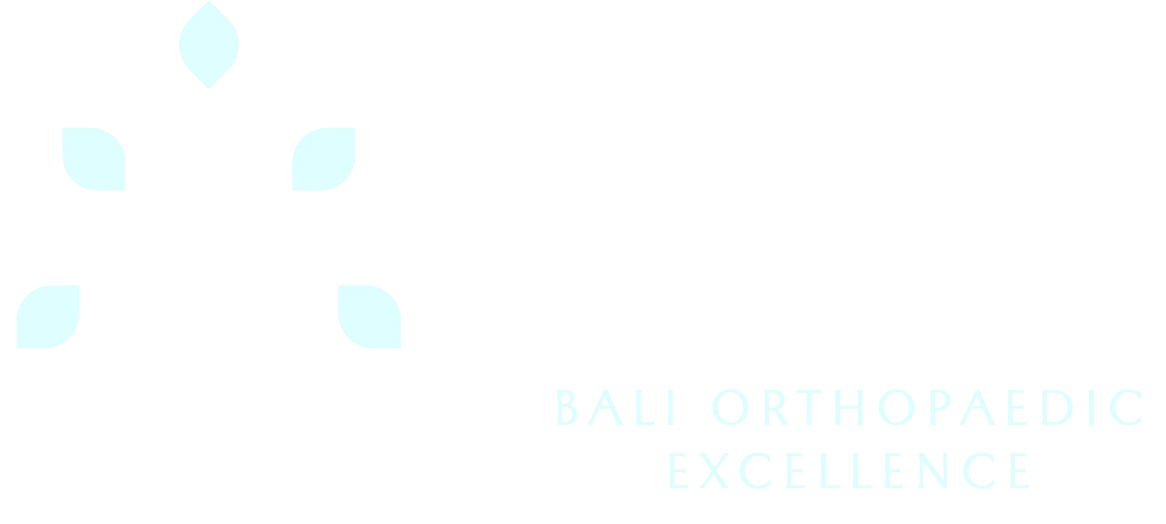 Bali Orthopaedic Excellence